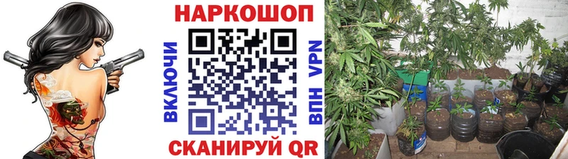 Купить закладку ГАШ Конопля Alpha-PVP АМФ MDMA МЕФ Шацк