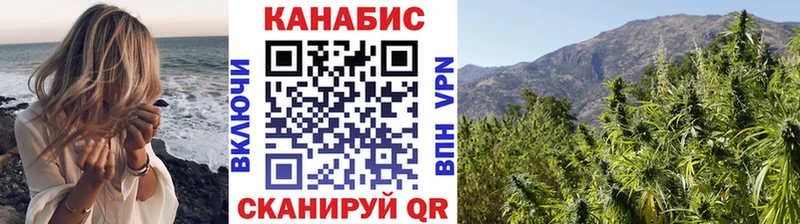 Купить где  Шацк  Марихуана ГИДРОПОН 